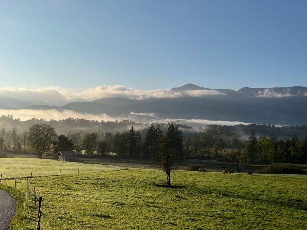 Morgennebel wabern über's Murnauer Moos